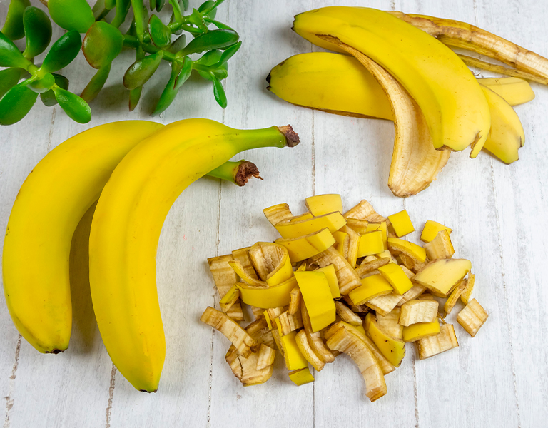 Adubo Orgânico de Banana