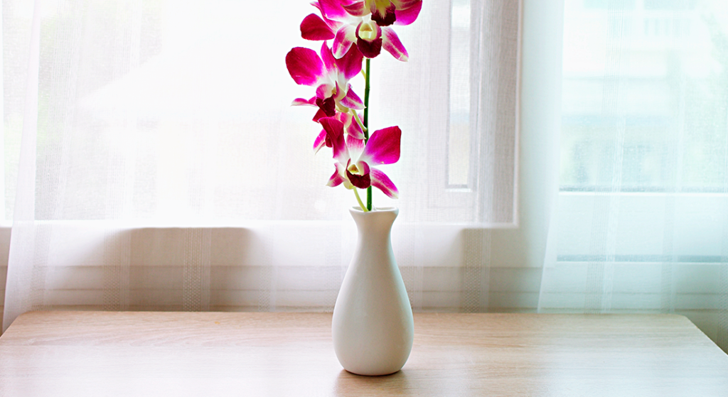 Vaso de Orquídeas