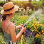 regando flores da primavera